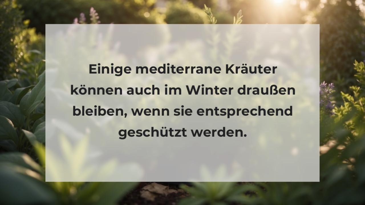 Einige mediterrane Kräuter können auch im Winter draußen bleiben, wenn sie entsprechend geschützt werden.