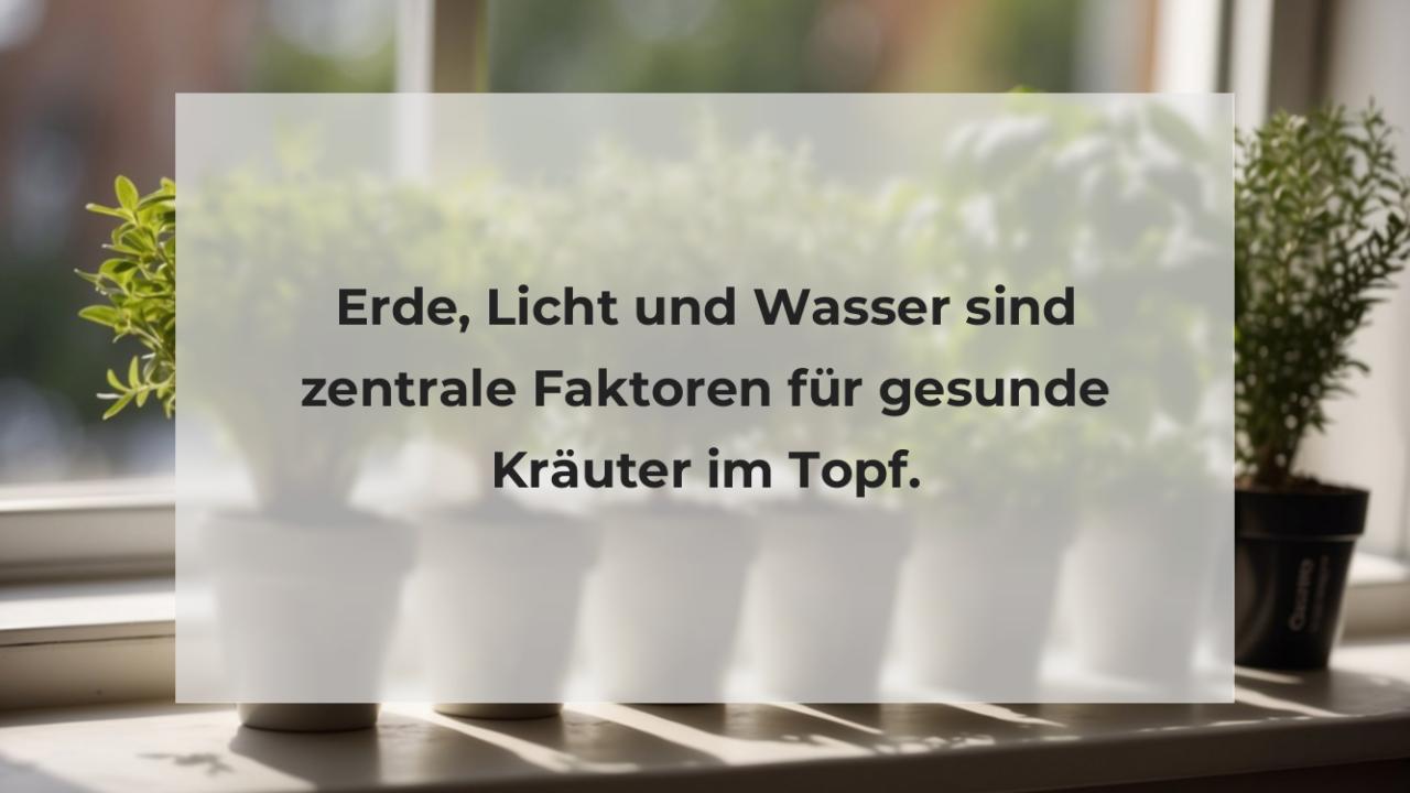 Erde, Licht und Wasser sind zentrale Faktoren für gesunde Kräuter im Topf.