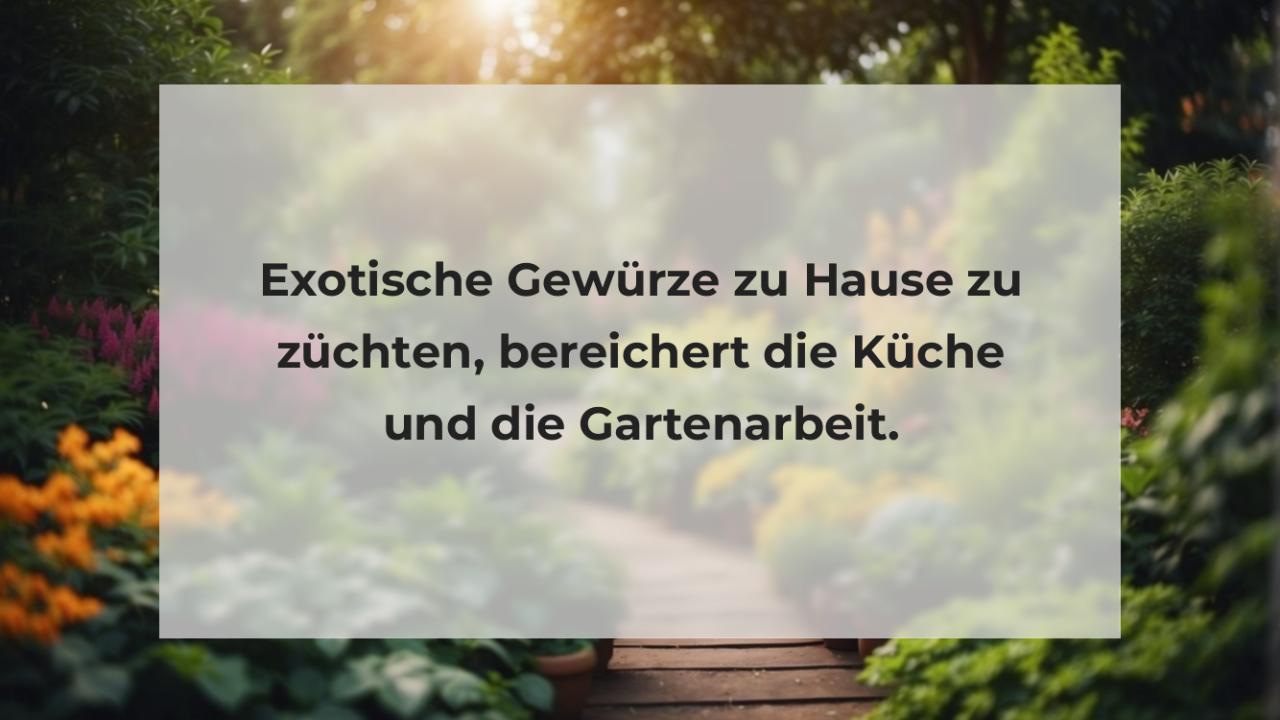 Exotische Gewürze zu Hause zu züchten, bereichert die Küche und die Gartenarbeit.