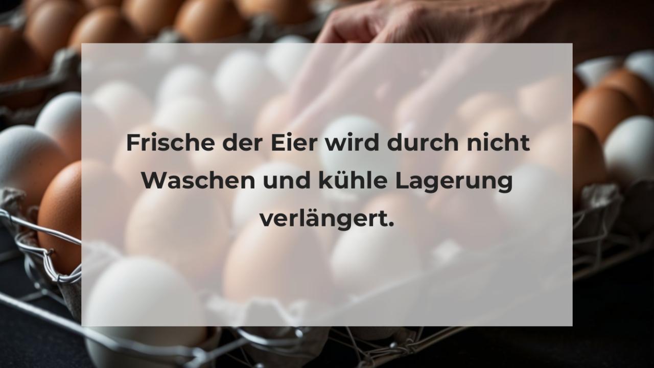 Frische der Eier wird durch nicht Waschen und kühle Lagerung verlängert.