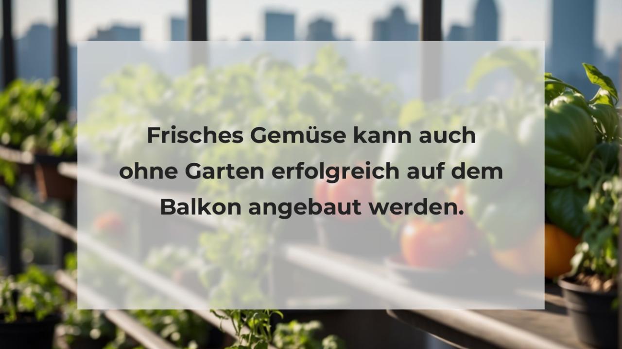 Frisches Gemüse kann auch ohne Garten erfolgreich auf dem Balkon angebaut werden.