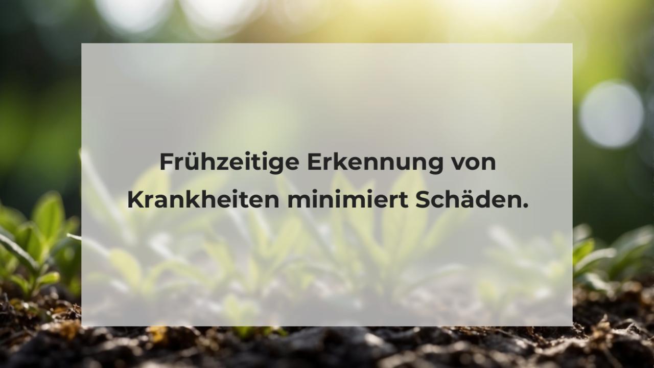 Frühzeitige Erkennung von Krankheiten minimiert Schäden.