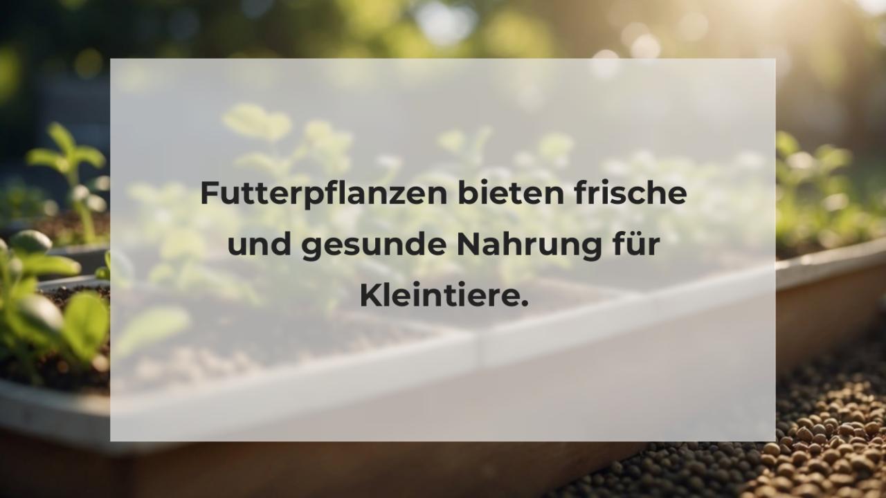 Futterpflanzen bieten frische und gesunde Nahrung für Kleintiere.