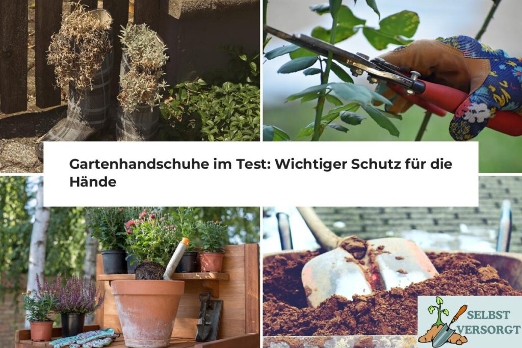 Gartenhandschuhe im Test