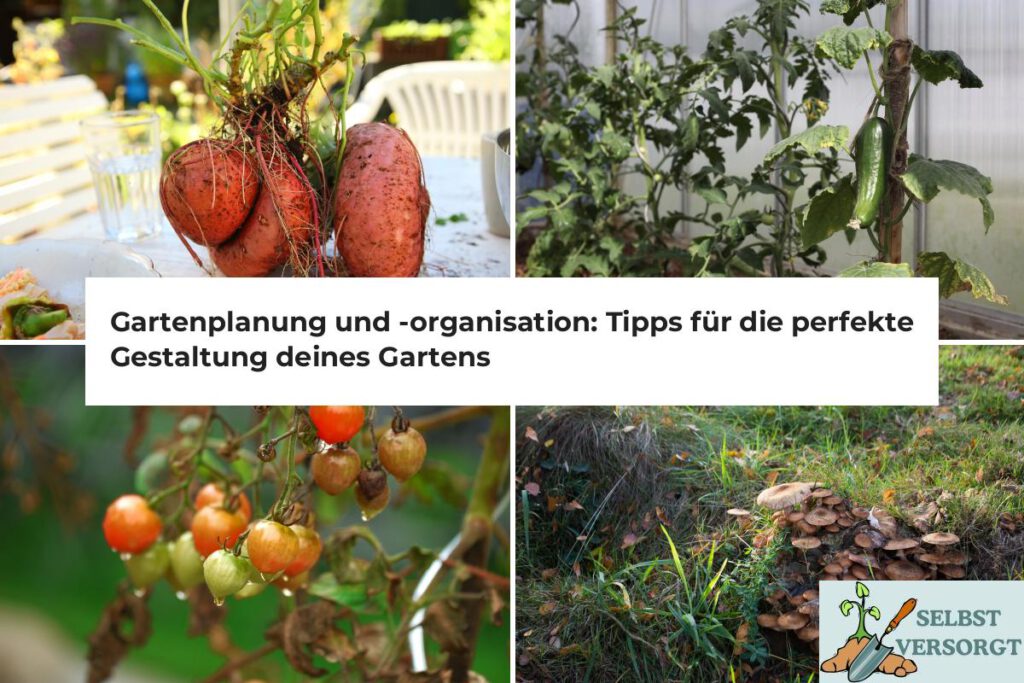 Gartenplanung und -organisation