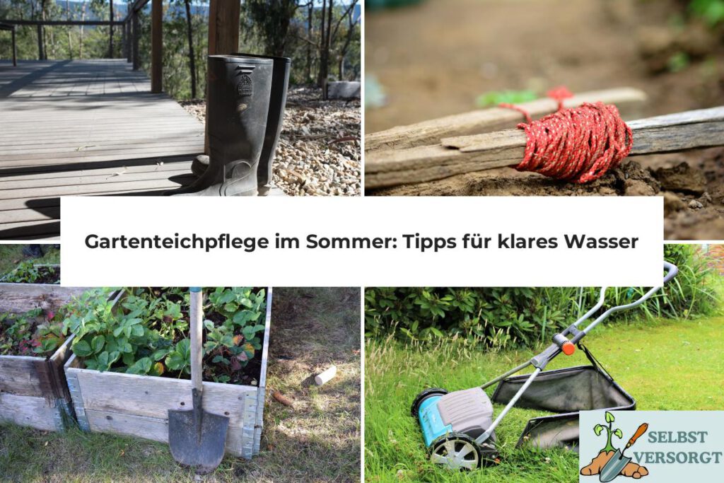 Gartenteichpflege im Sommer