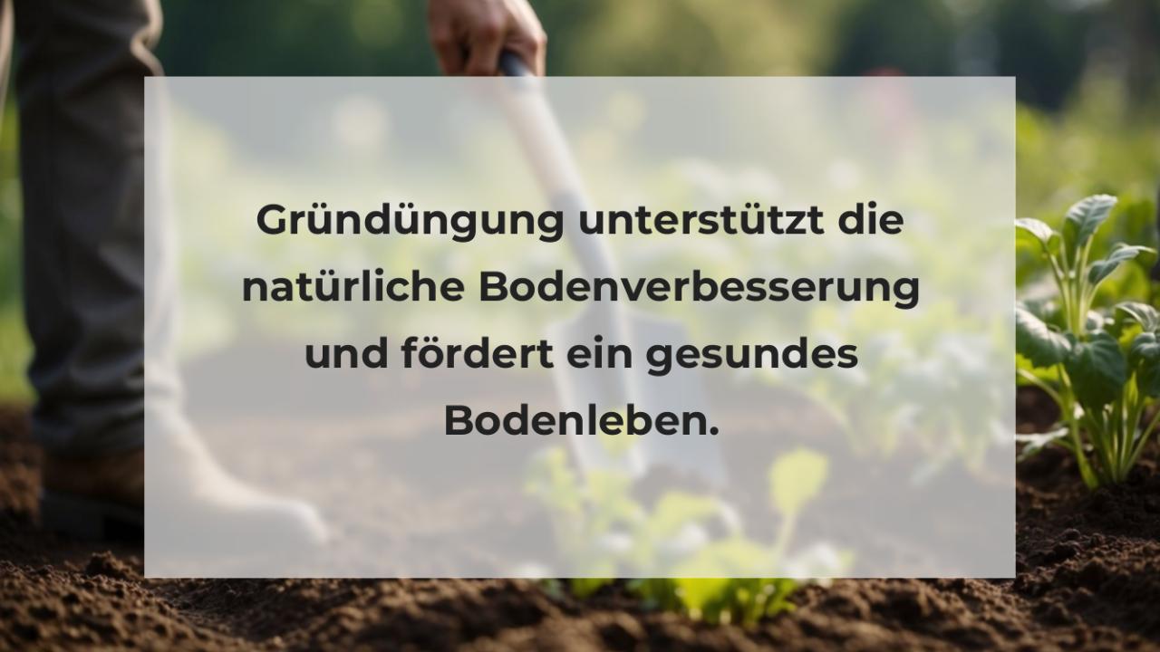 Gründüngung unterstützt die natürliche Bodenverbesserung und fördert ein gesundes Bodenleben.