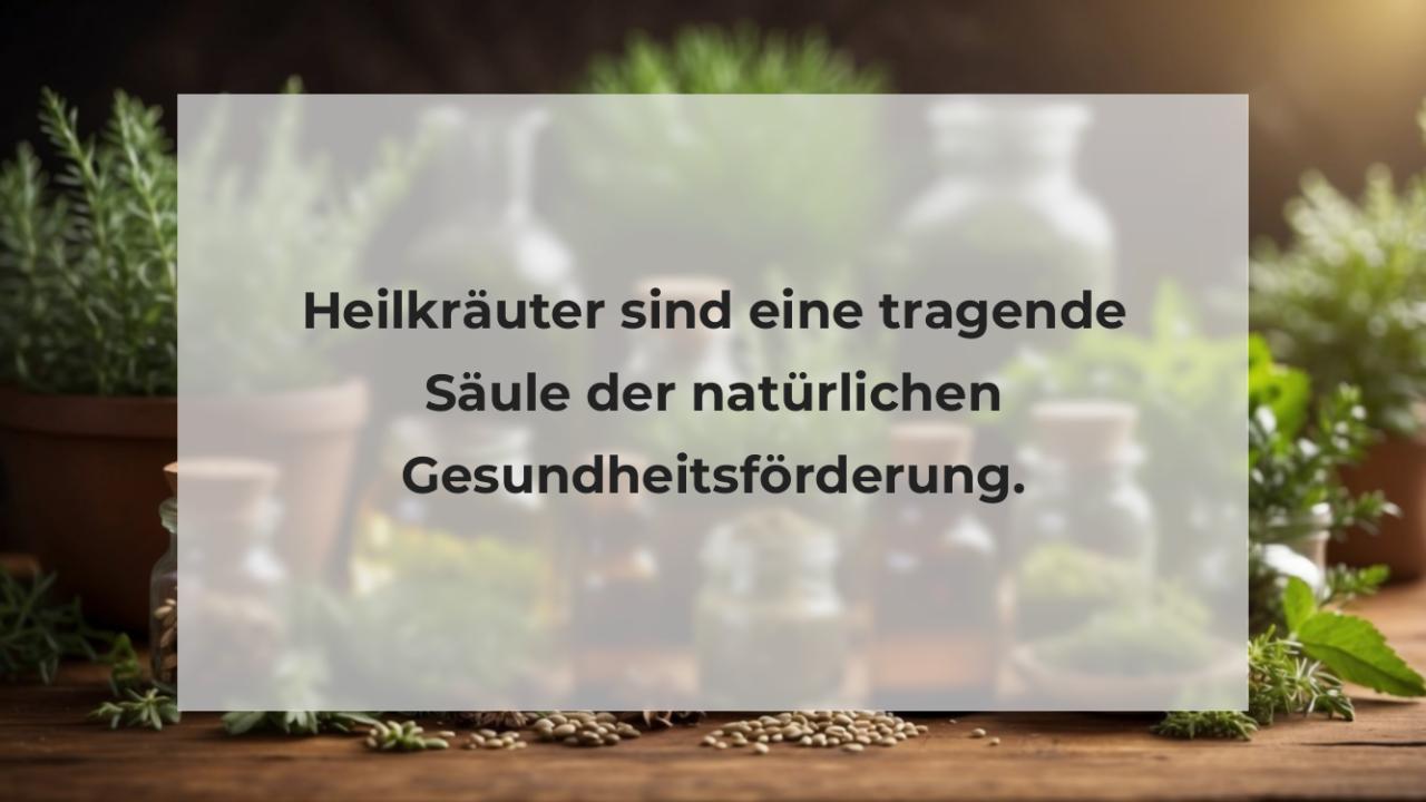 Heilkräuter sind eine tragende Säule der natürlichen Gesundheitsförderung.