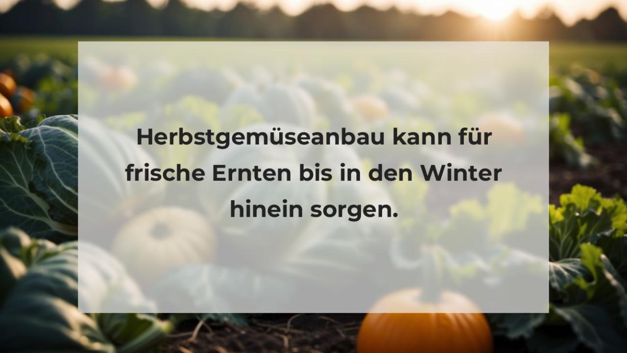 Herbstgemüseanbau kann für frische Ernten bis in den Winter hinein sorgen.