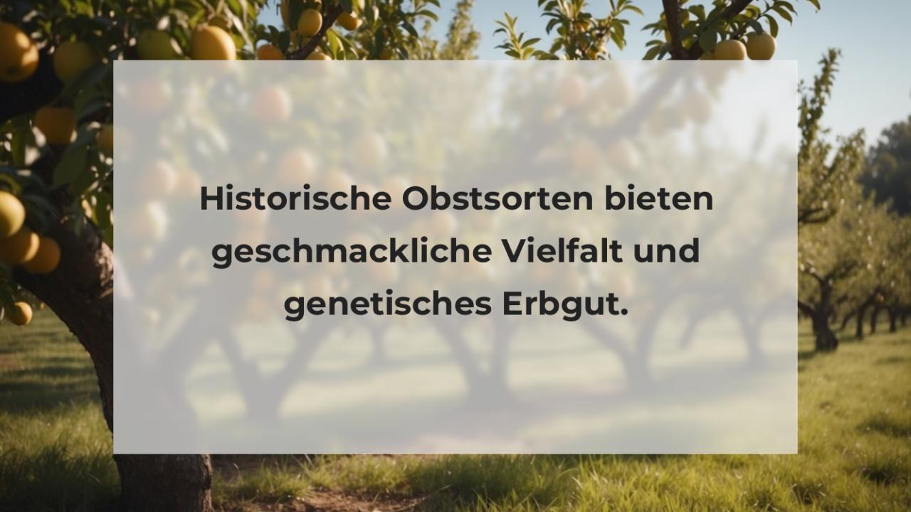 Historische Obstsorten bieten geschmackliche Vielfalt und genetisches Erbgut.