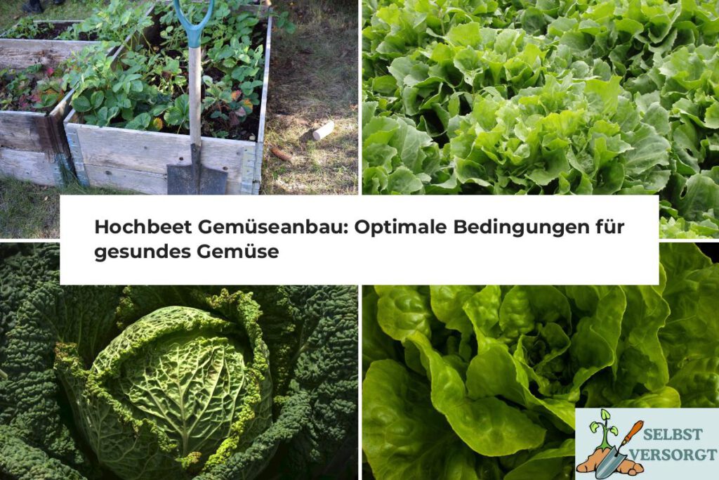 Hochbeet Gemüseanbau