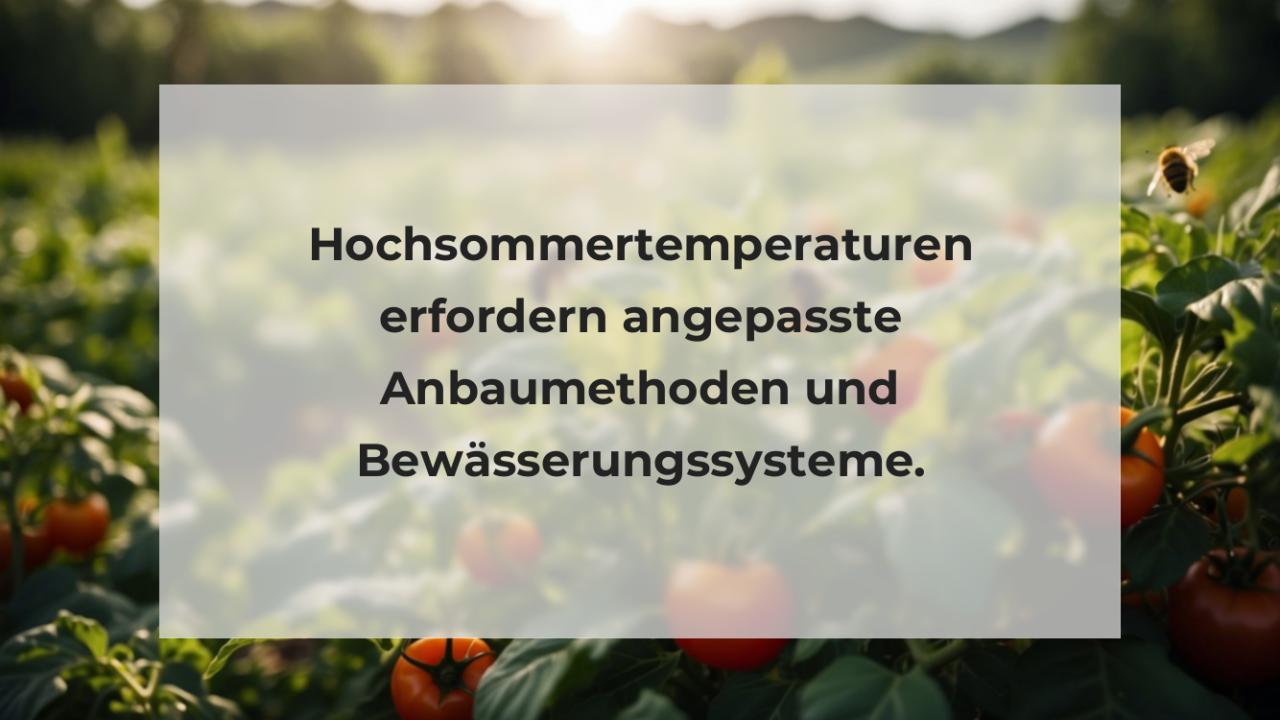 Hochsommertemperaturen erfordern angepasste Anbaumethoden und Bewässerungssysteme.