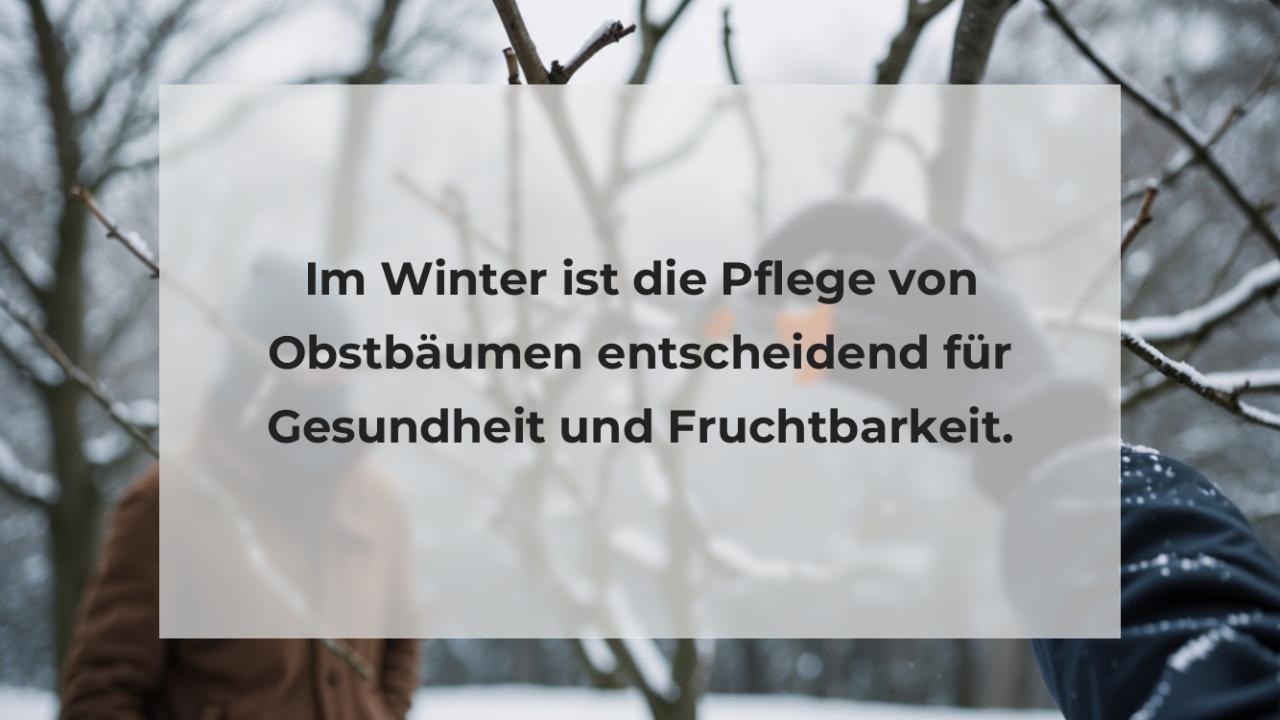 Im Winter ist die Pflege von Obstbäumen entscheidend für Gesundheit und Fruchtbarkeit.