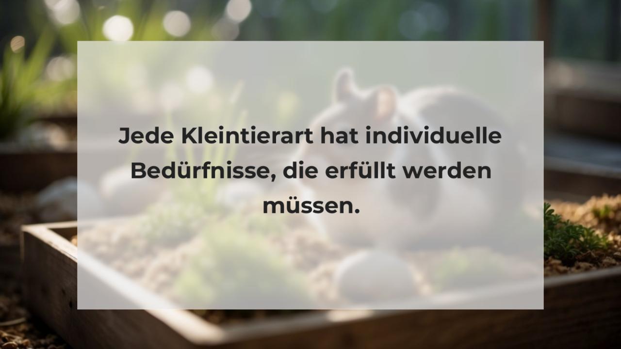 Jede Kleintierart hat individuelle Bedürfnisse, die erfüllt werden müssen.