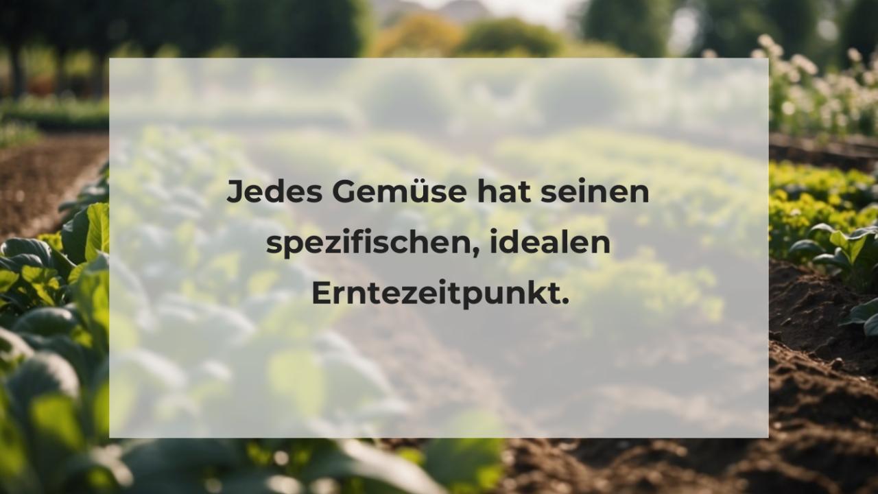 Jedes Gemüse hat seinen spezifischen, idealen Erntezeitpunkt.