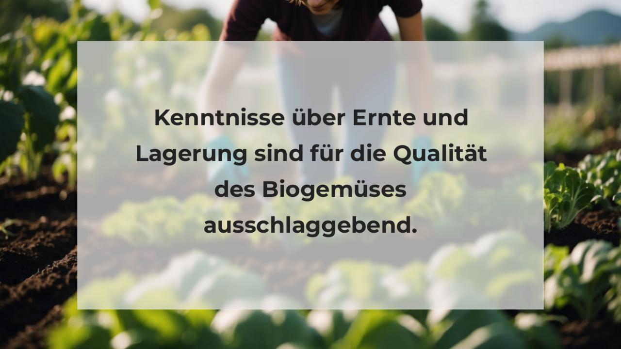 Kenntnisse über Ernte und Lagerung sind für die Qualität des Biogemüses ausschlaggebend.