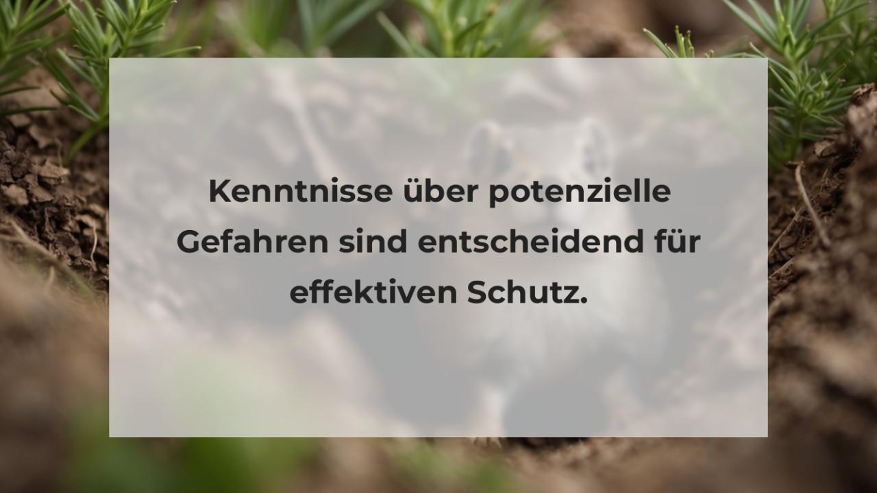 Kenntnisse über potenzielle Gefahren sind entscheidend für effektiven Schutz.