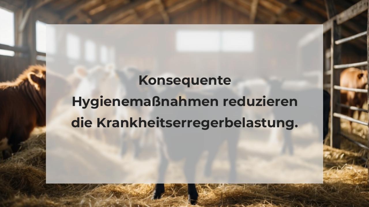 Konsequente Hygienemaßnahmen reduzieren die Krankheitserregerbelastung.