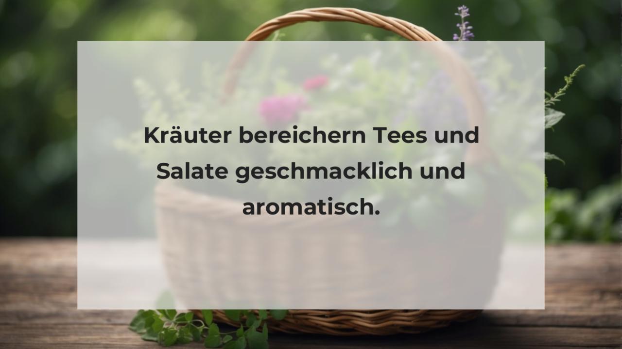 Kräuter bereichern Tees und Salate geschmacklich und aromatisch.