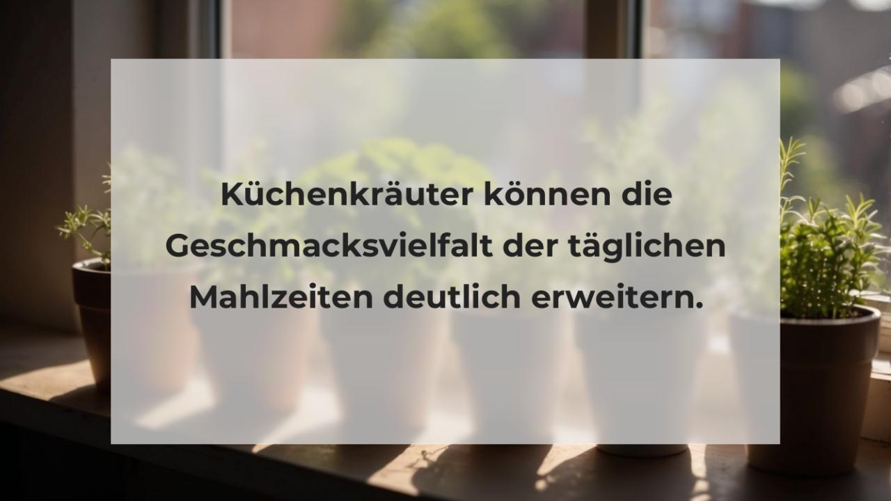 Küchenkräuter können die Geschmacksvielfalt der täglichen Mahlzeiten deutlich erweitern.