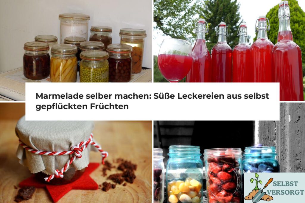 Marmelade selber machen