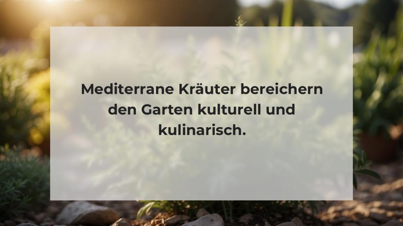 Mediterrane Kräuter bereichern den Garten kulturell und kulinarisch.