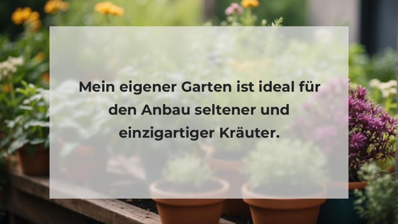 Mein eigener Garten ist ideal für den Anbau seltener und einzigartiger Kräuter.