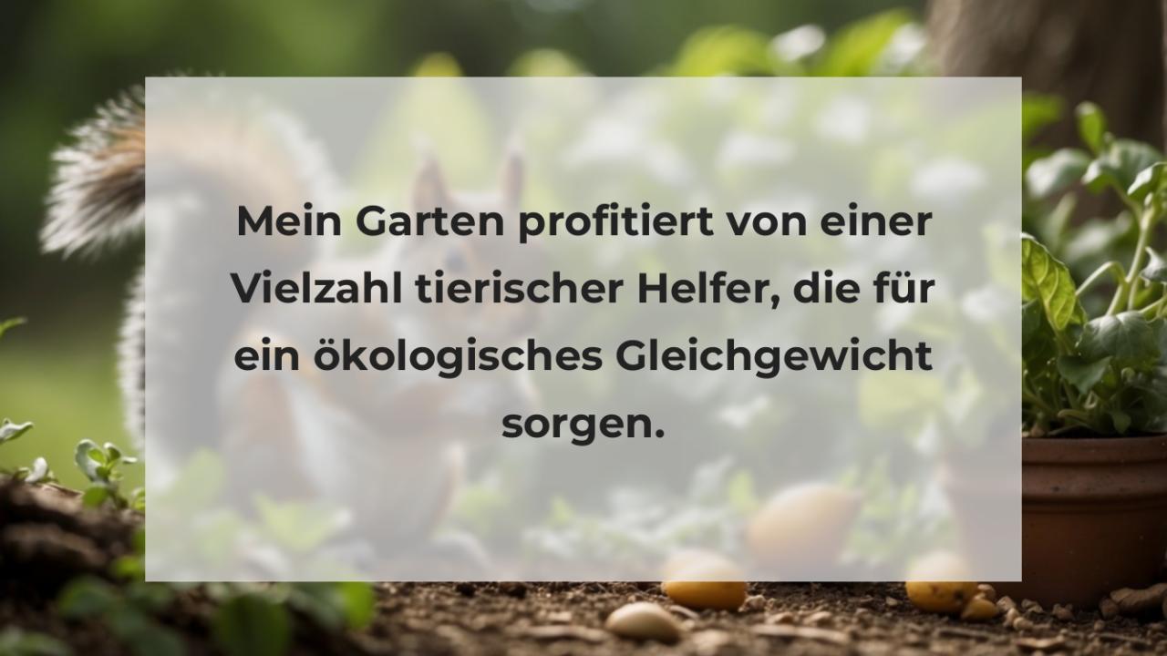 Mein Garten profitiert von einer Vielzahl tierischer Helfer, die für ein ökologisches Gleichgewicht sorgen.