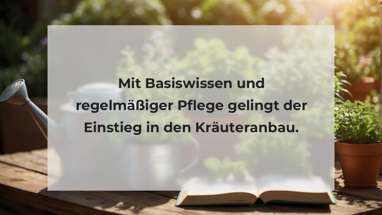 Mit Basiswissen und regelmäßiger Pflege gelingt der Einstieg in den Kräuteranbau.