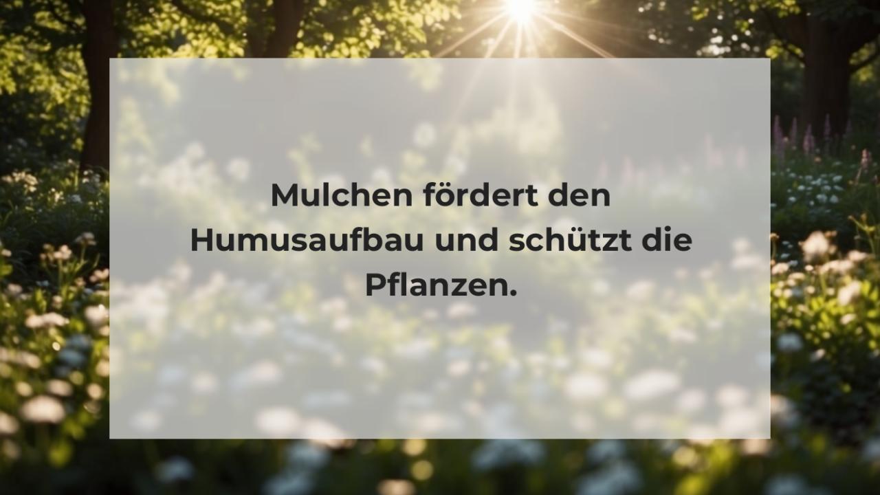 Mulchen fördert den Humusaufbau und schützt die Pflanzen.