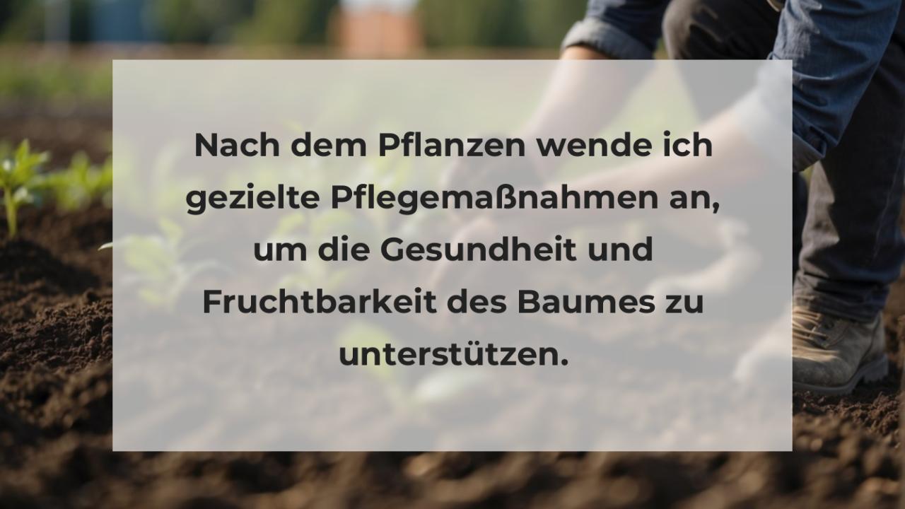 Nach dem Pflanzen wende ich gezielte Pflegemaßnahmen an, um die Gesundheit und Fruchtbarkeit des Baumes zu unterstützen.