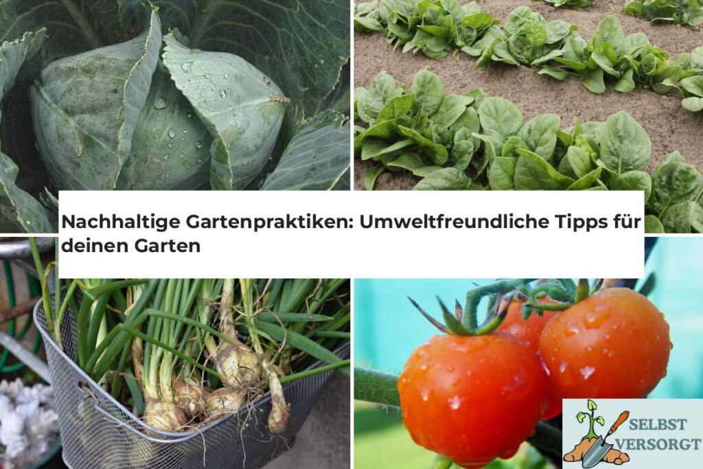 Nachhaltige Gartenpraktiken