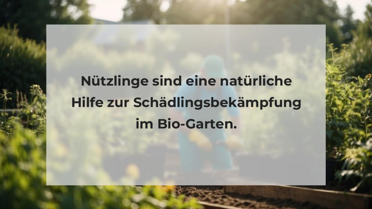 Nützlinge sind eine natürliche Hilfe zur Schädlingsbekämpfung im Bio-Garten.