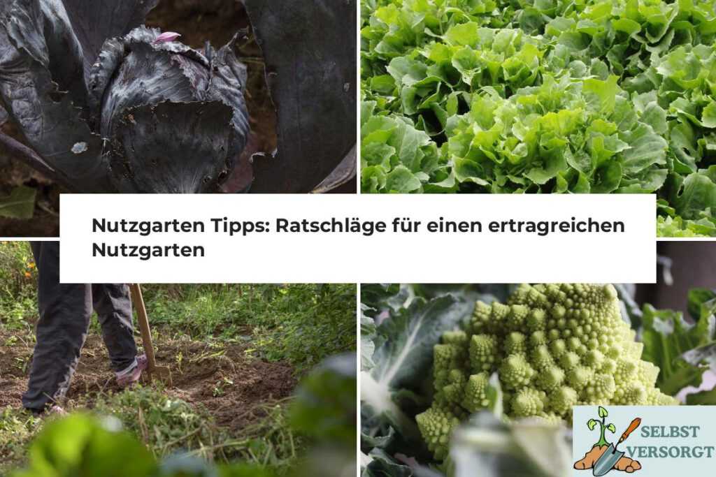 Nutzgarten Tipps