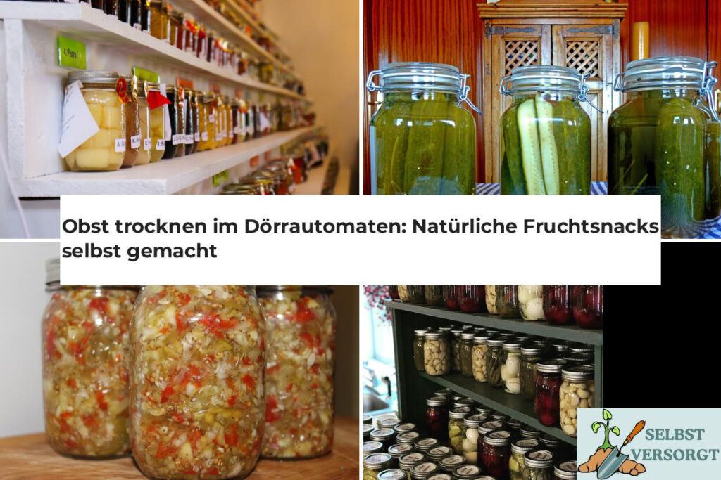 Obst trocknen im Dörrautomaten