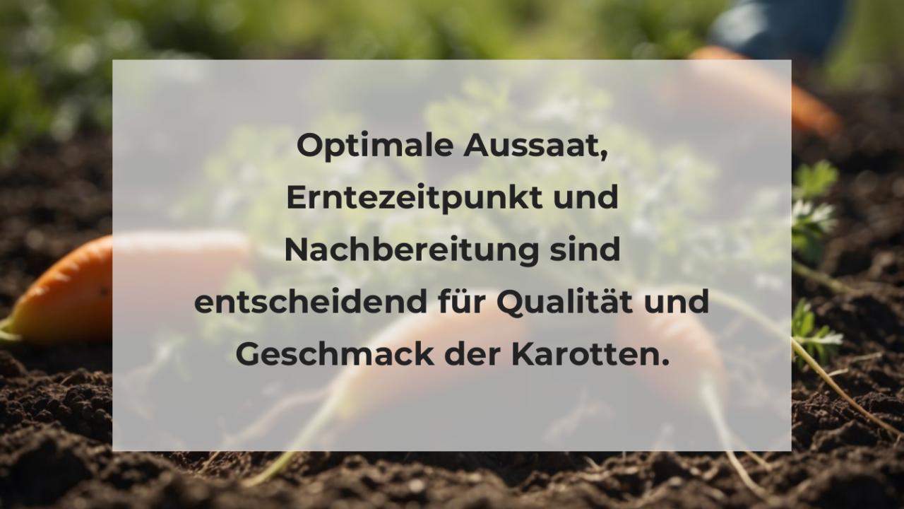 Optimale Aussaat, Erntezeitpunkt und Nachbereitung sind entscheidend für Qualität und Geschmack der Karotten.