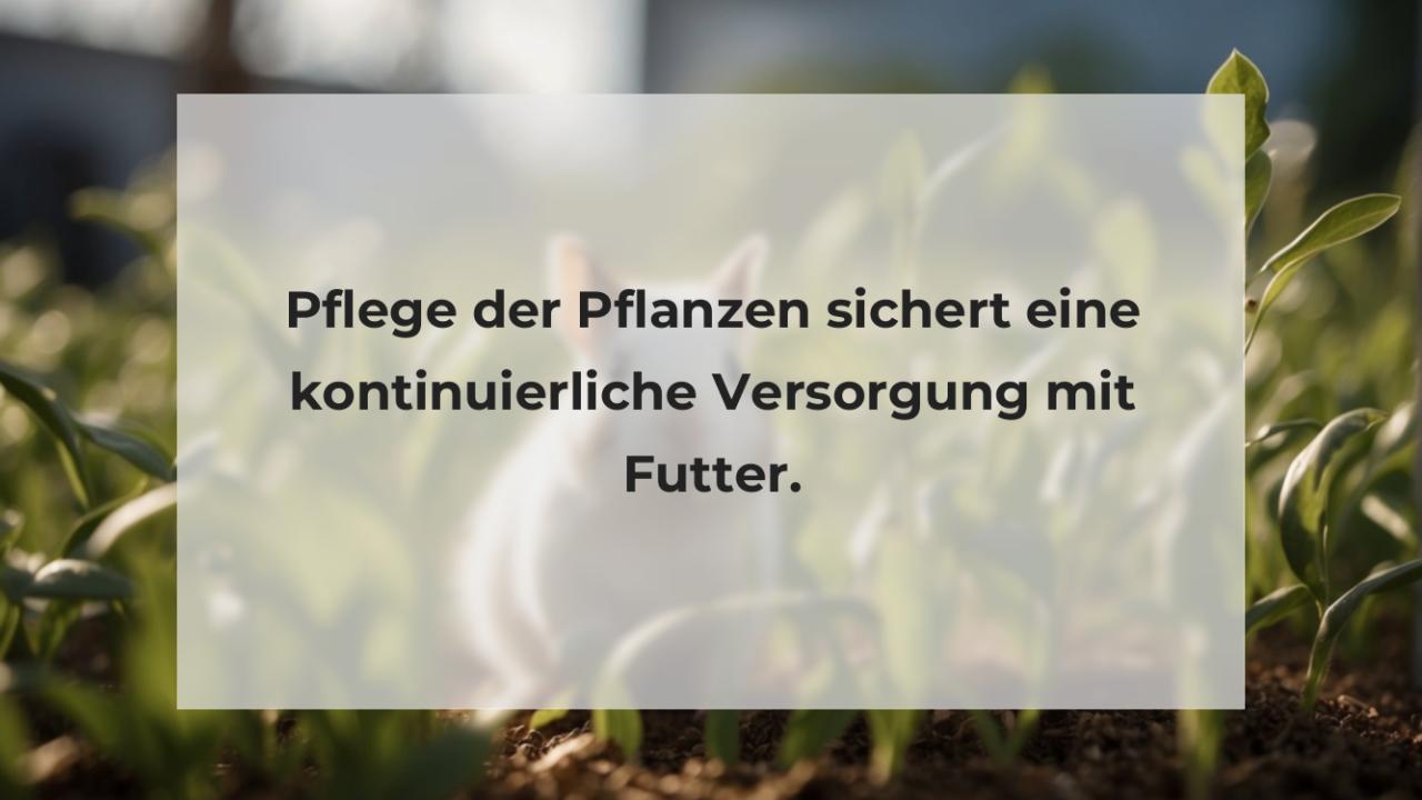 Pflege der Pflanzen sichert eine kontinuierliche Versorgung mit Futter.