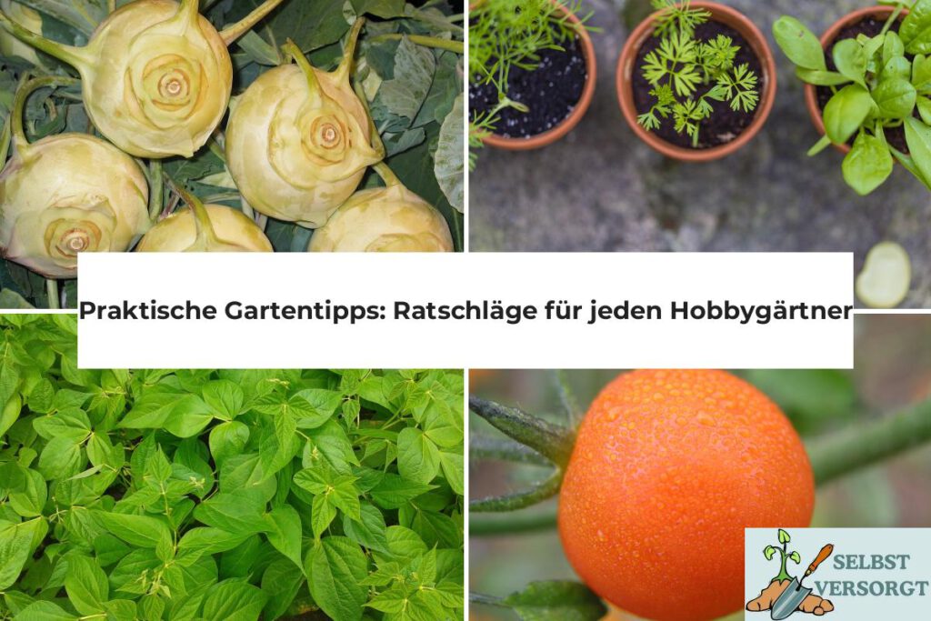 Praktische Gartentipps