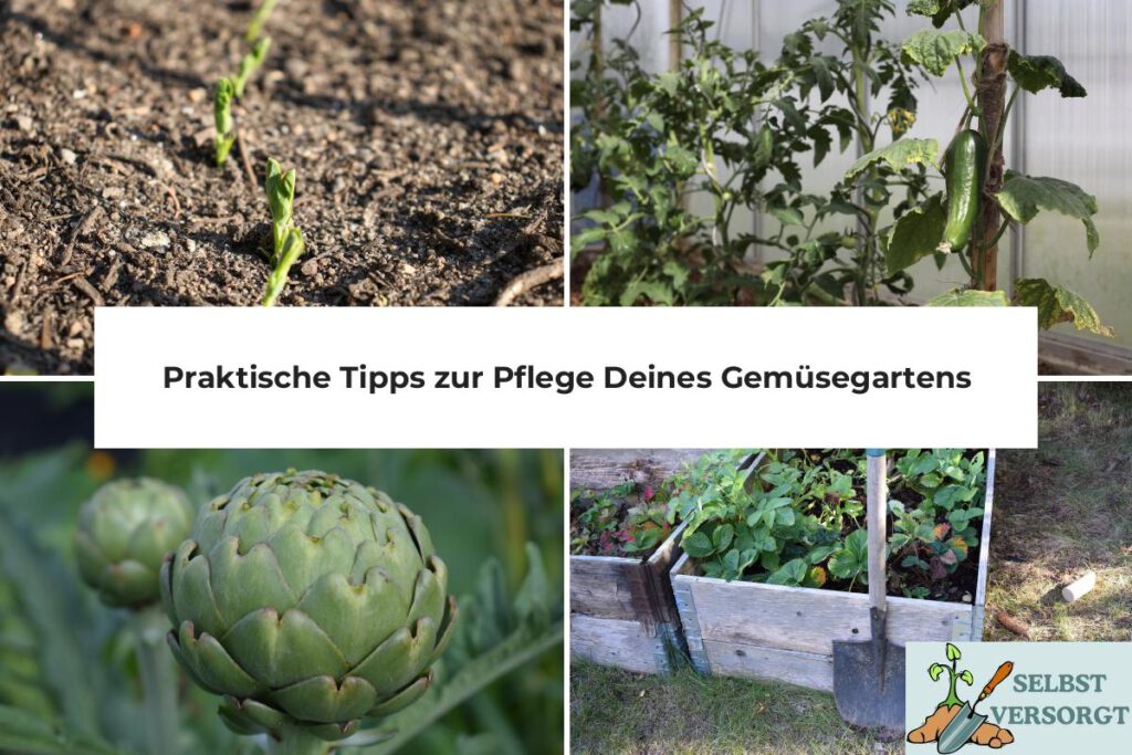 Gemüsegarten pflegen