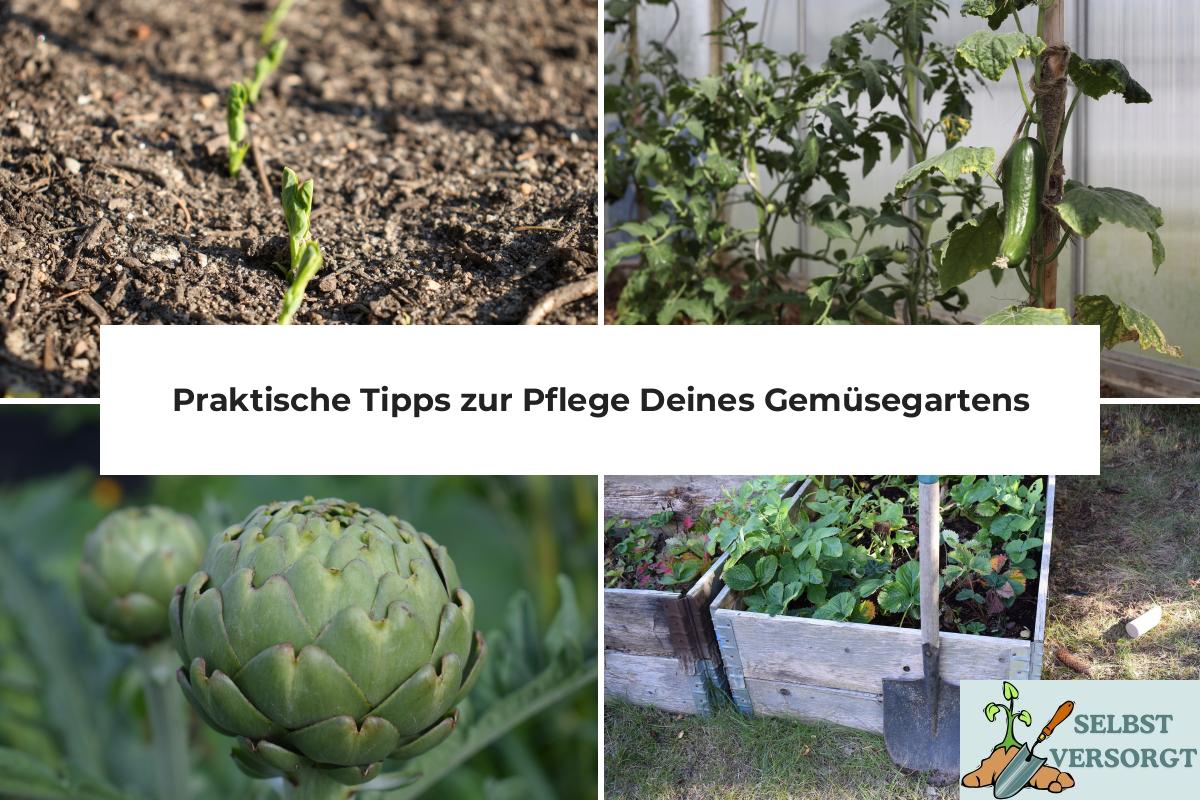 Praktische Tipps zur Pflege Deines Gemüsegartens
