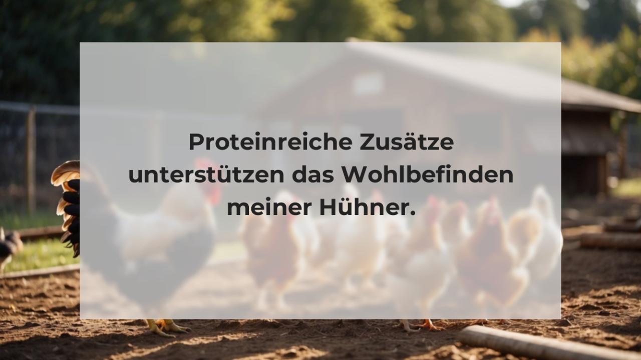 Proteinreiche Zusätze unterstützen das Wohlbefinden meiner Hühner.