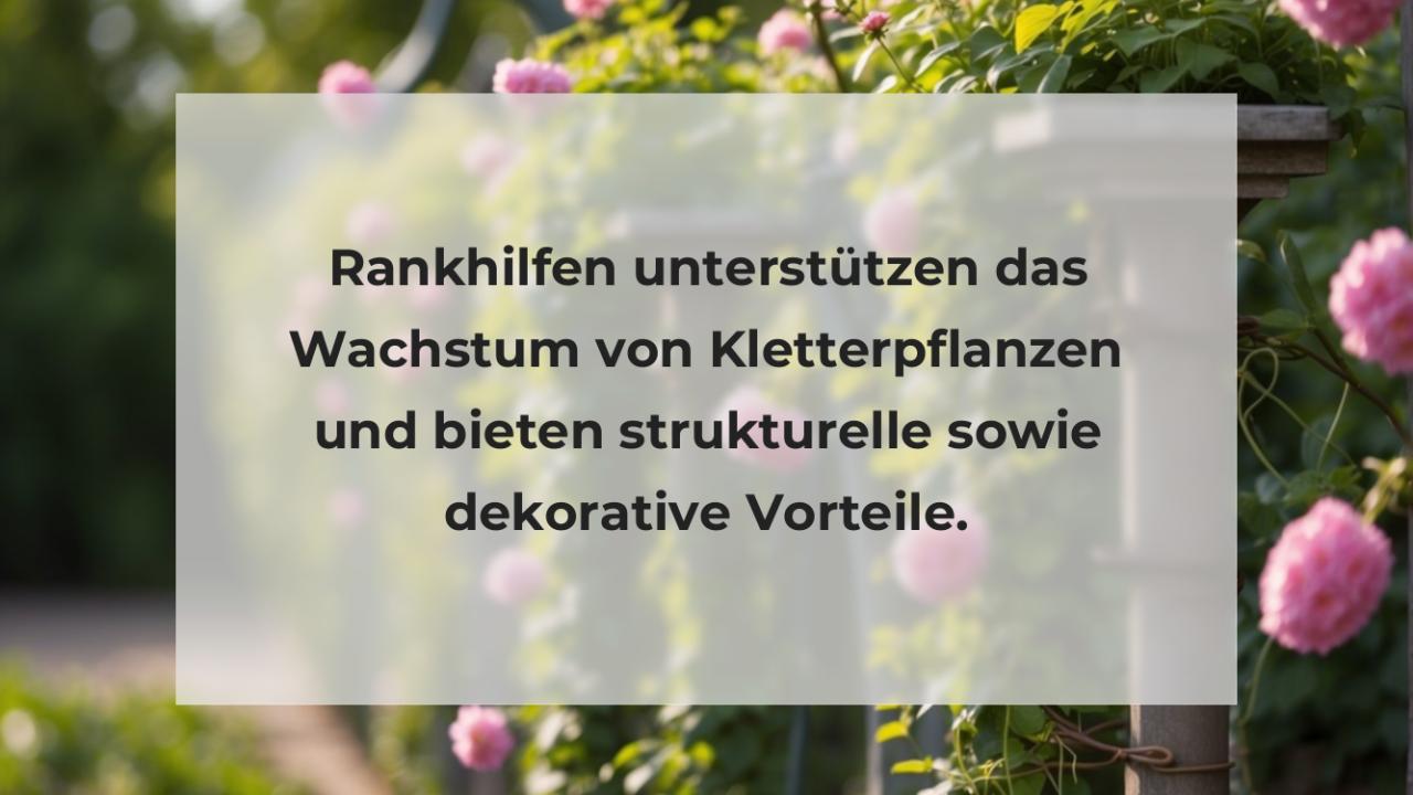 Rankhilfen unterstützen das Wachstum von Kletterpflanzen und bieten strukturelle sowie dekorative Vorteile.