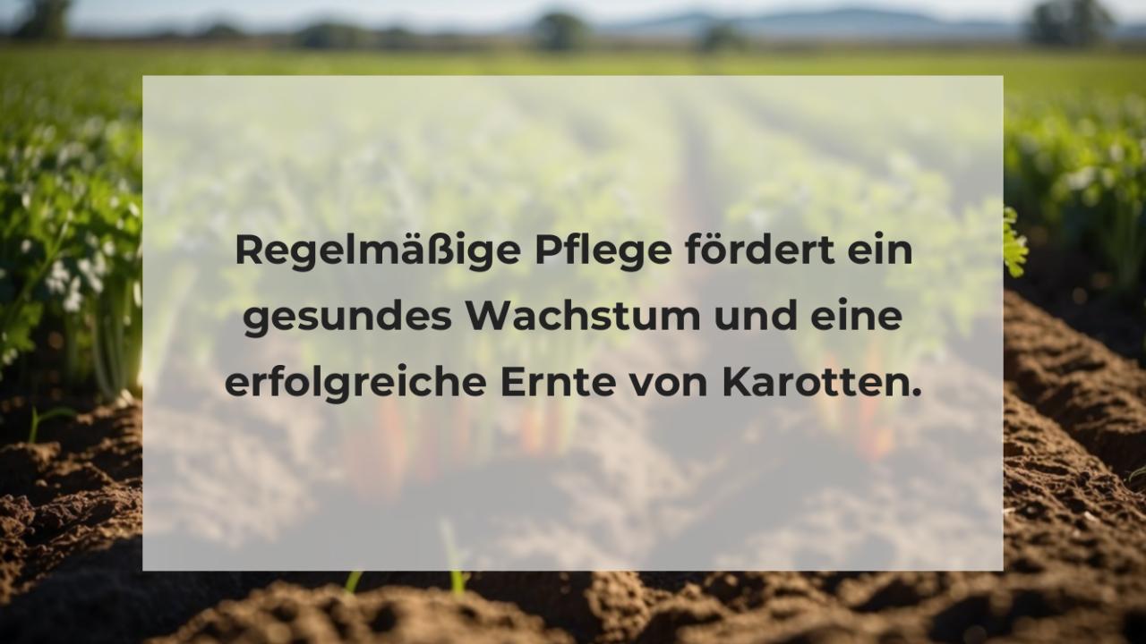 Regelmäßige Pflege fördert ein gesundes Wachstum und eine erfolgreiche Ernte von Karotten.