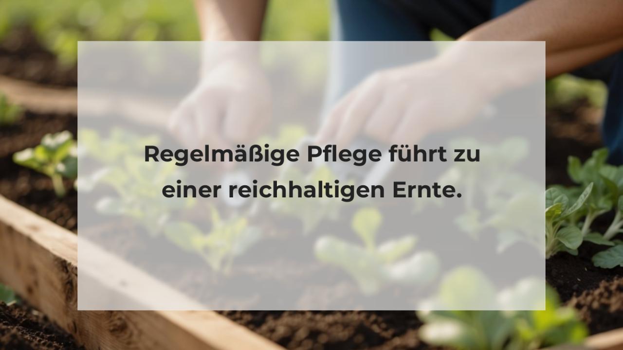 Regelmäßige Pflege führt zu einer reichhaltigen Ernte.