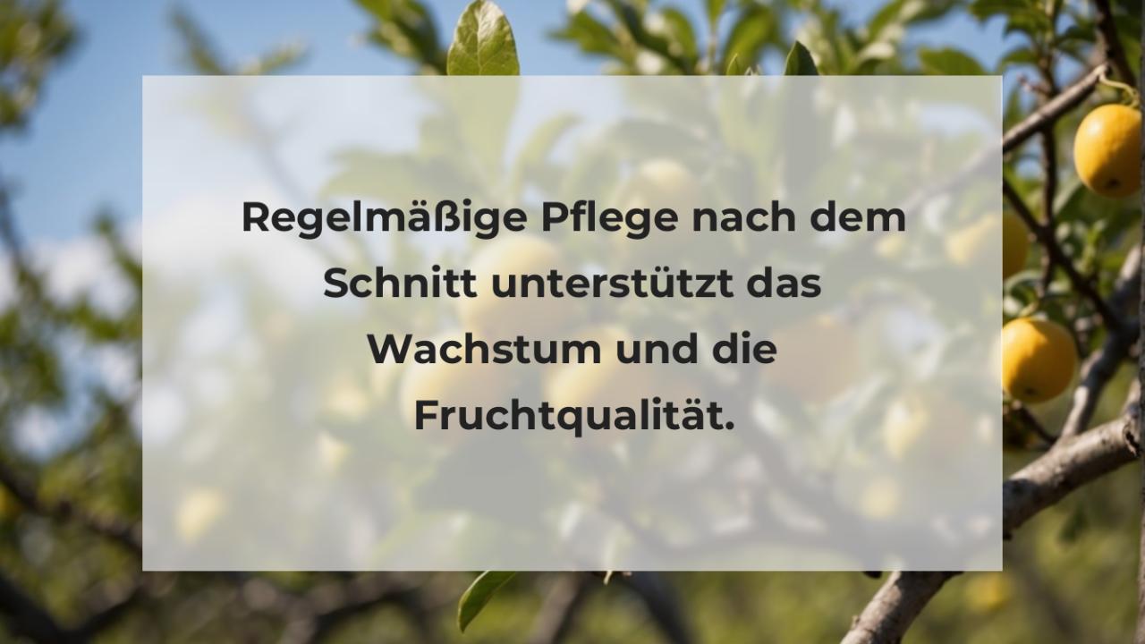 Regelmäßige Pflege nach dem Schnitt unterstützt das Wachstum und die Fruchtqualität.