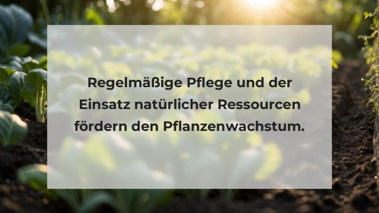 Regelmäßige Pflege und der Einsatz natürlicher Ressourcen fördern den Pflanzenwachstum.