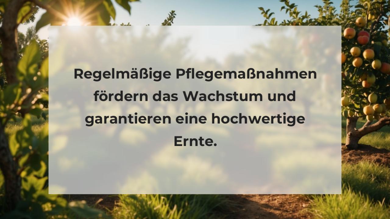 Regelmäßige Pflegemaßnahmen fördern das Wachstum und garantieren eine hochwertige Ernte.