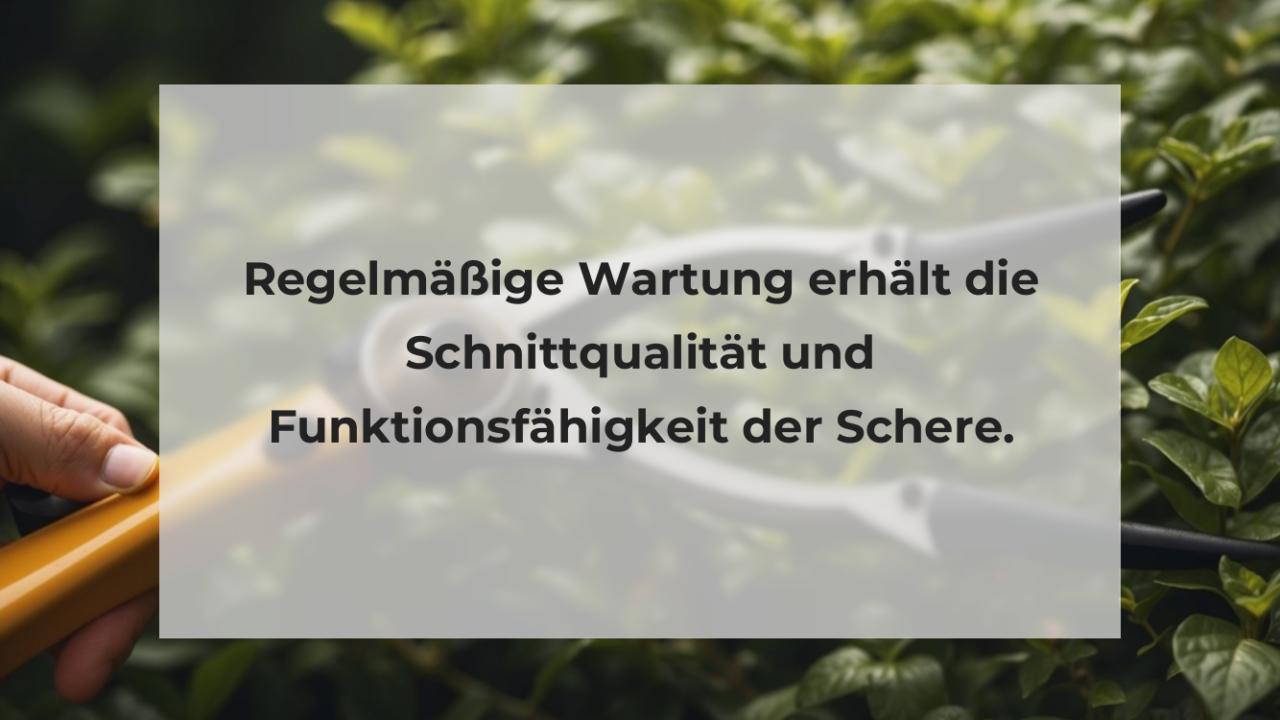 Regelmäßige Wartung erhält die Schnittqualität und Funktionsfähigkeit der Schere.