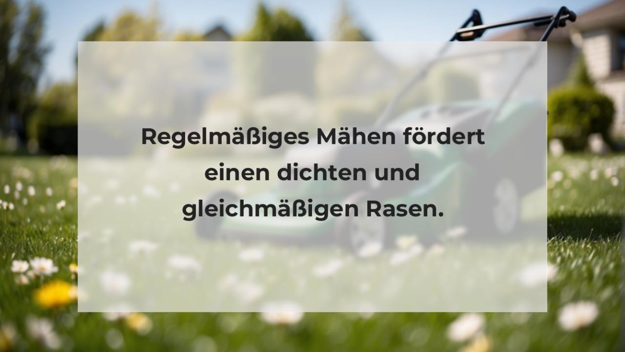 Regelmäßiges Mähen fördert einen dichten und gleichmäßigen Rasen.