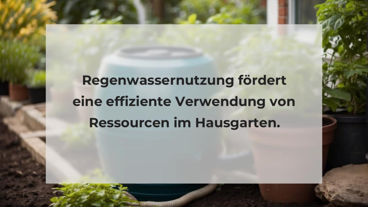 Regenwassernutzung fördert eine effiziente Verwendung von Ressourcen im Hausgarten.